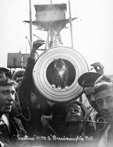 HMS Dreadnoughts pet Scatters inspects the 12 Inch gun for cleanliness